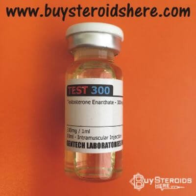 Test E 300mg - GenTech